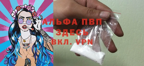 PSILOCYBIN Богданович