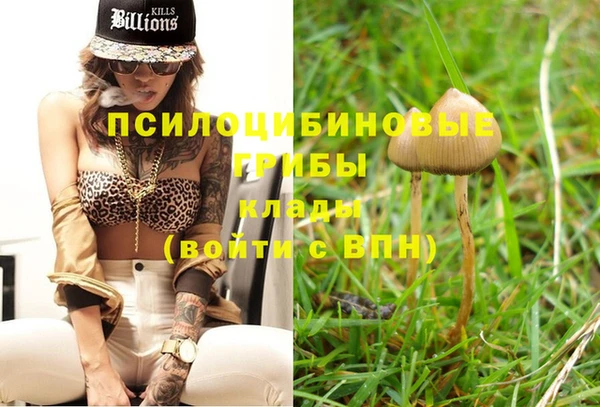марихуана Богородицк