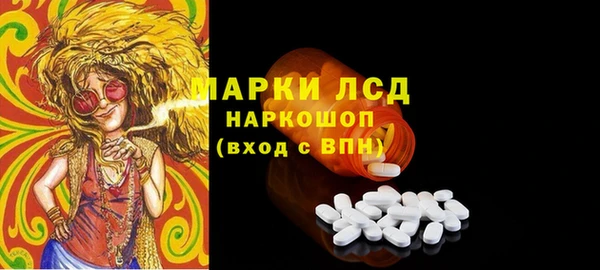 PSILOCYBIN Богданович