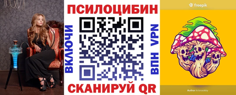 ссылка на мегу ONION  Новокубанск  Псилоцибиновые грибы MAGIC MUSHROOMS  даркнет сайт 